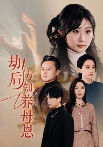 劫后方知养母恩 2025 短剧 海报
