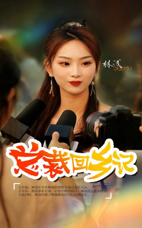 总裁回乡记 2024 短剧 海报