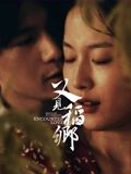 又见稻乡 2024 电影 海报