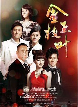 金枝玉叶 2011 电视剧 海报