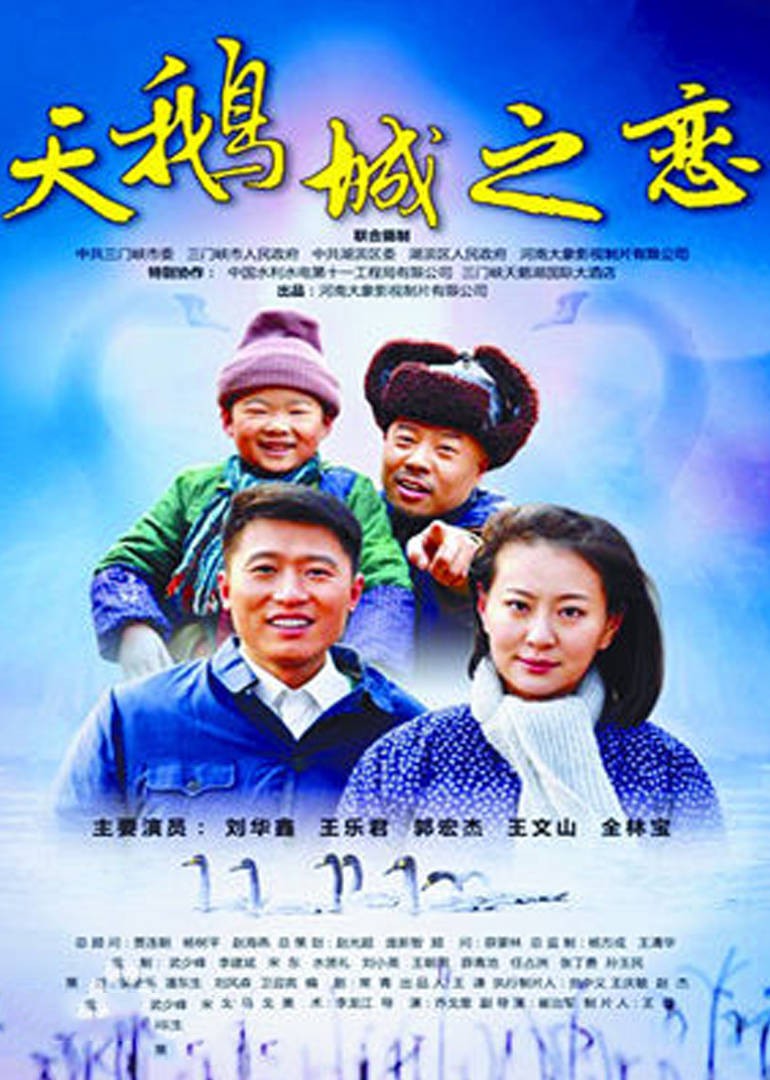 天鹅城之恋 2011 电影 海报