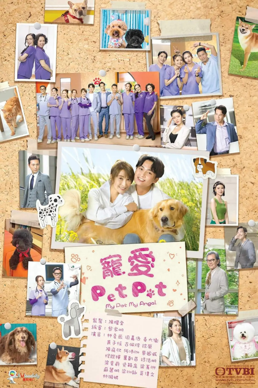 宠爱Pet Pet 2023 电视剧 海报