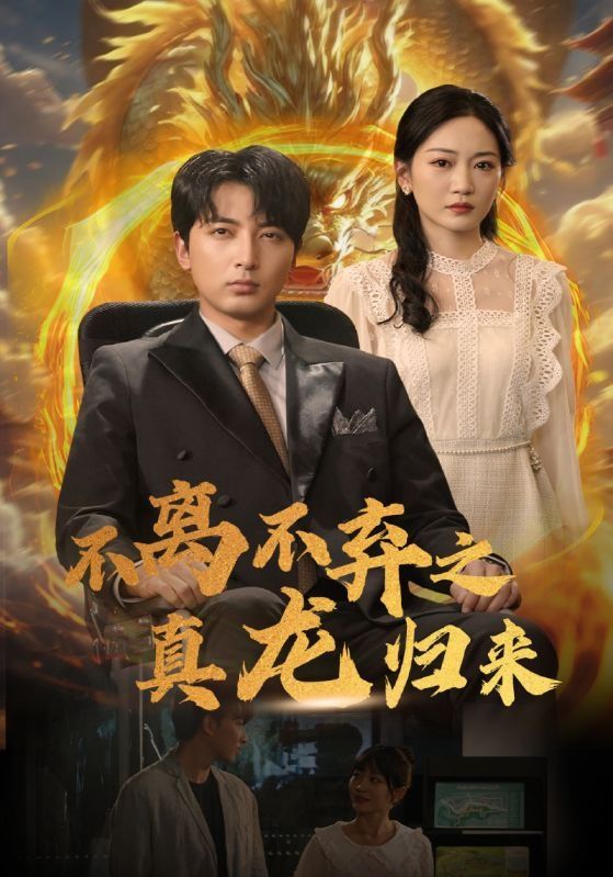 不离不弃之真龙归来 2024 短剧 海报