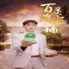 百灵典当铺 2024 短剧 海报