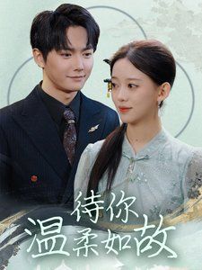 待你温柔如故 2025 短剧 海报