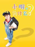小明的为什么 2025 电影 海报