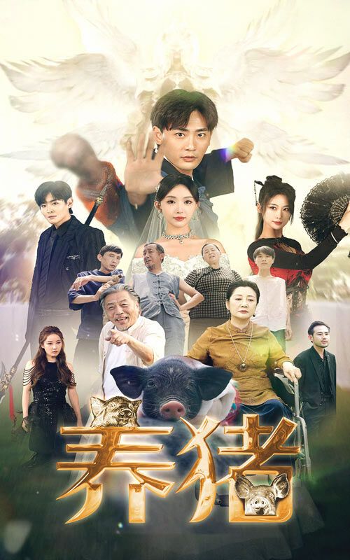 养猪 2024 短剧 海报