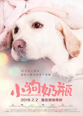 小狗奶瓶 2018 电影 海报