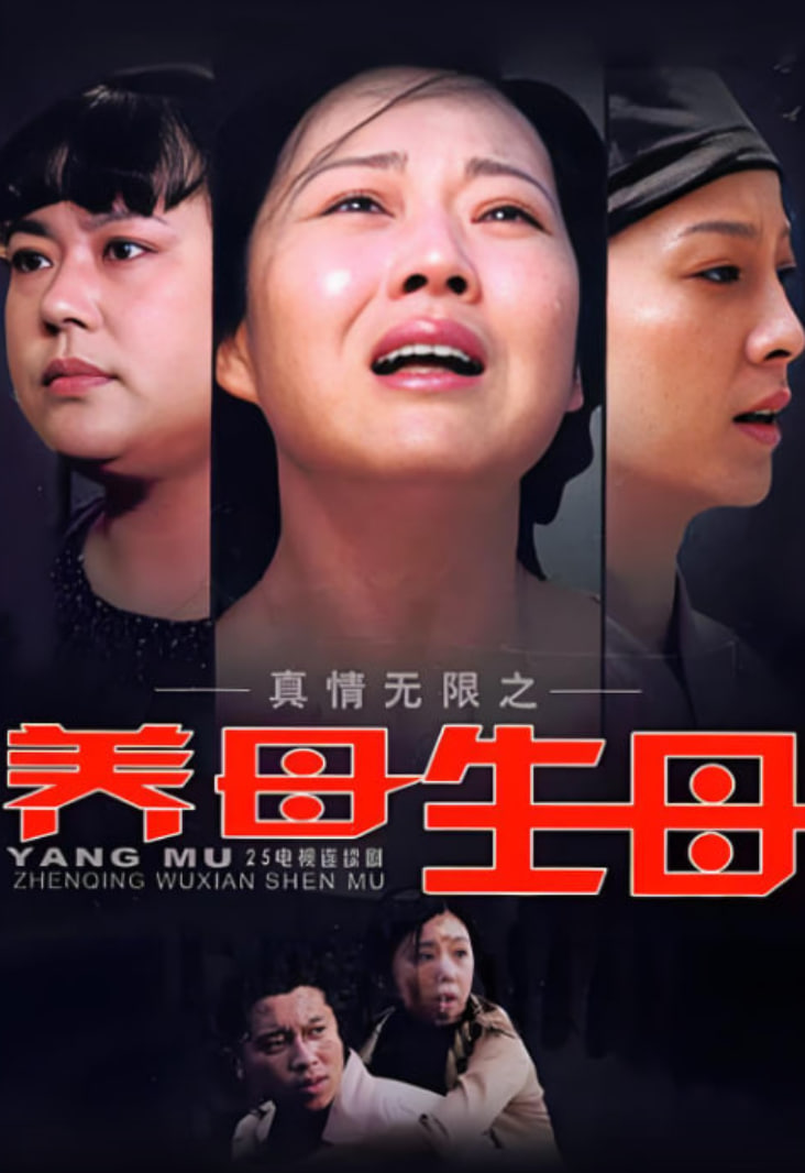 真情无限之养母生母 2009 电视剧 海报