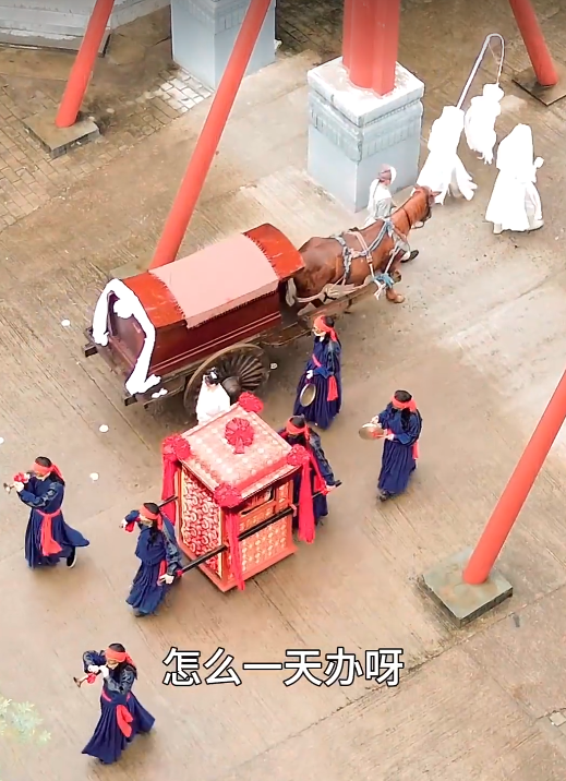 新：王妃她又美又飒103集 2024 短剧 海报