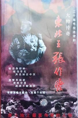 大帅传奇 1994 电视剧 海报