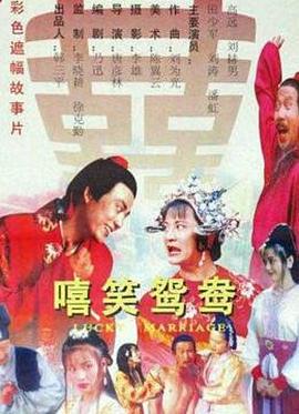 嘻笑鸳鸯 1995 电影 海报