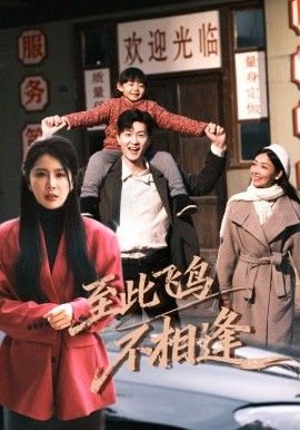 至此飞鸟不相逢 2025 短剧 海报