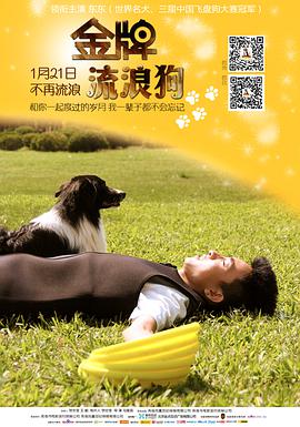 金牌流浪狗 2014 电影 海报