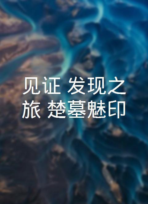 见证·发现之旅：楚墓魅印 2010 纪录片 海报