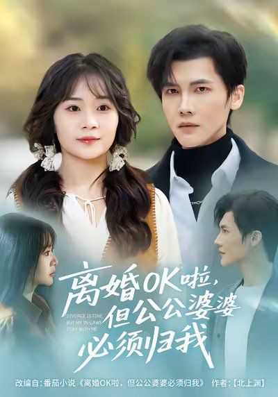 离婚OK啦，但公公婆婆必须归我 2025 短剧 海报