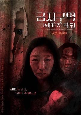 禁区：三个碎片 2025 电影 海报