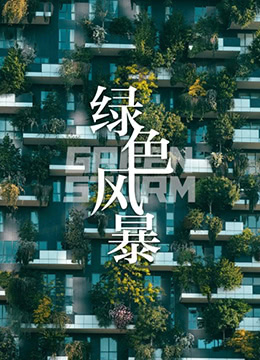 绿色风暴 2011 电影 海报