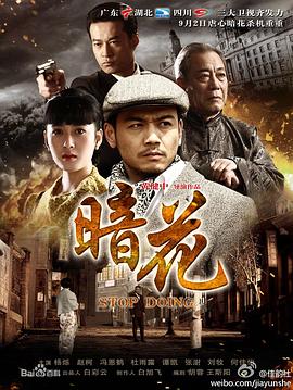 暗花 2012 电视剧 海报