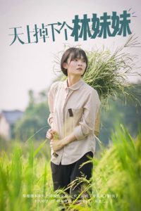 天上掉下个林妹妹短剧 2024 短剧 海报