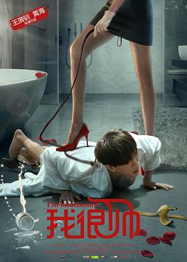 我很帅 2016 电影 海报
