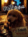 狗狗奇遇记 2025 电影 海报