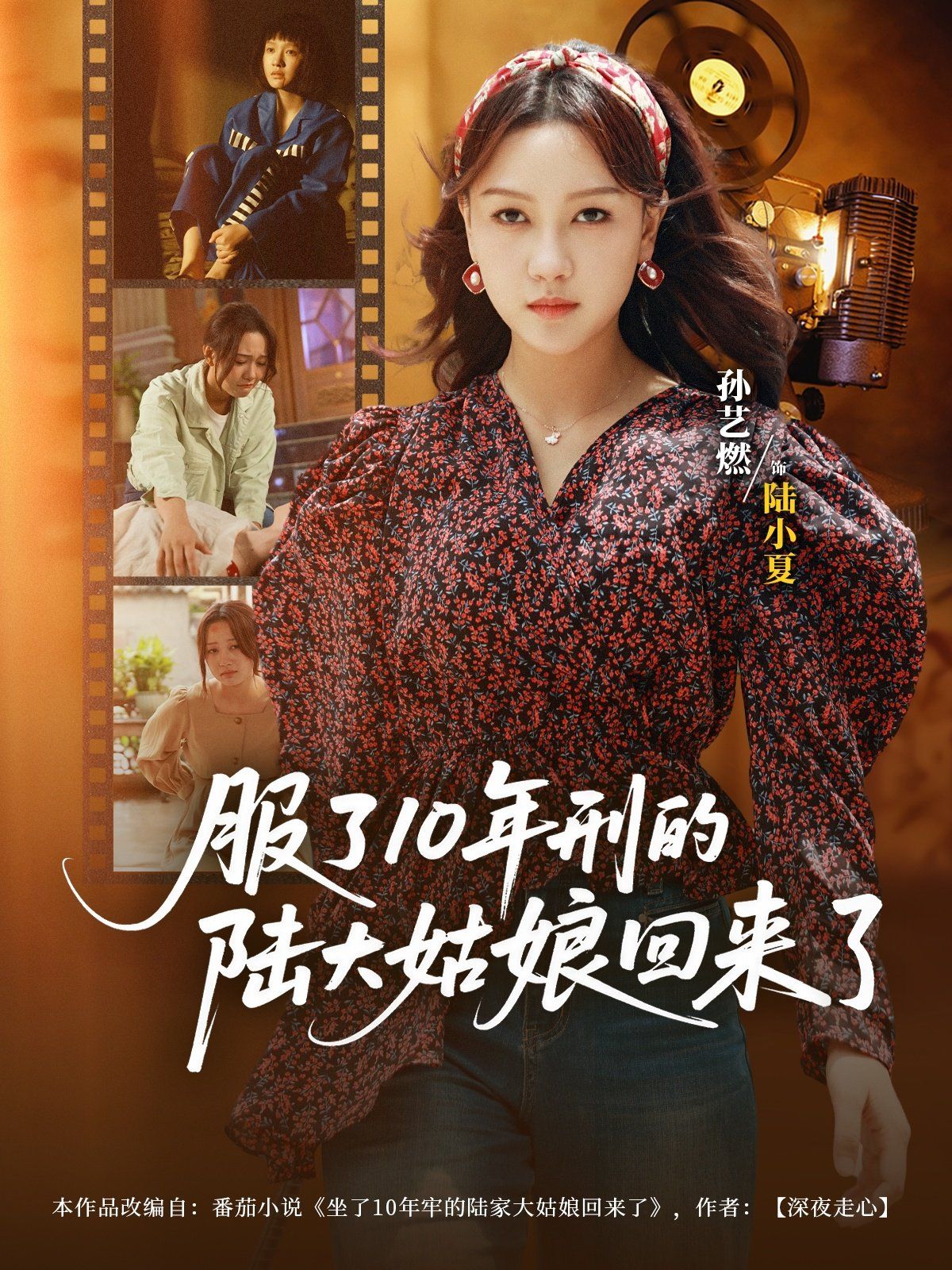 服了10年刑的陆大姑娘回来了 2025 短剧 海报