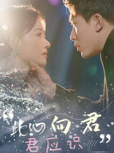 此心向君君应识 2025 短剧 海报