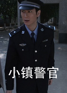 小镇警官 2009 电影 海报