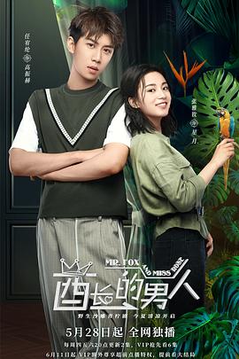 酋长的男人 2020 电视剧 海报