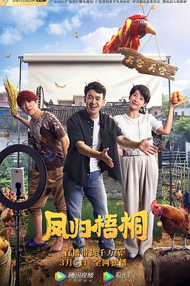 凤归梧桐 2021 电影 海报