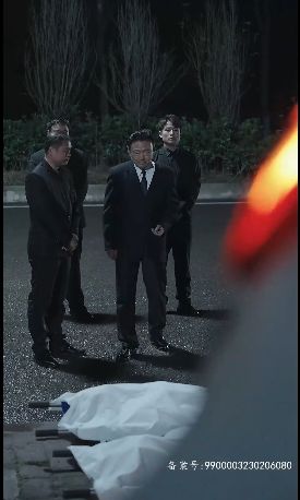 反败为胜 2024 短剧 海报