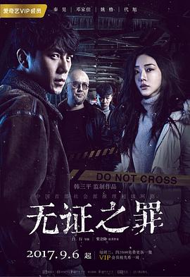 无证之罪 2017 电视剧 海报