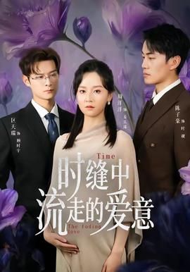 时缝中流走的爱意 2026 短剧 海报