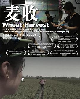 麦收 2008 纪录片 海报