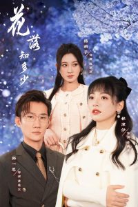 花落知多少 2025 短剧 海报