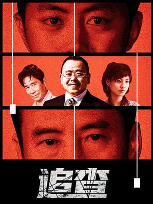 追查 2006 电视剧 海报