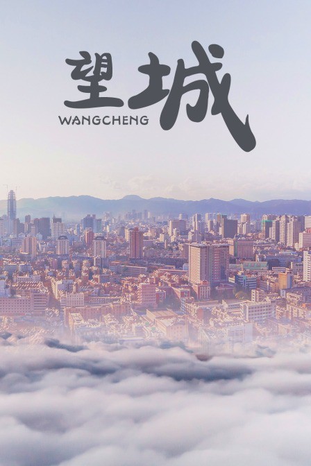 望城 2011 电影 海报