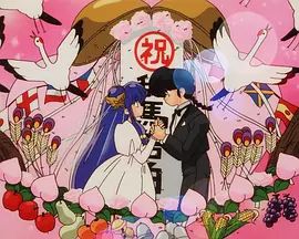 乱马1/2：OVA 珊璞暴变—反转宝珠之祸 1993 电影 海报