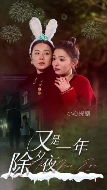 又是一年除夕夜 2024 短剧 海报