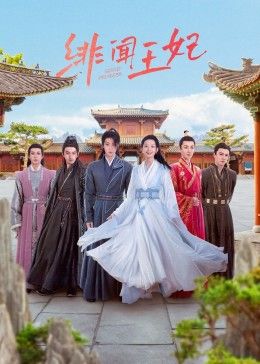 绯闻王妃 2024 电视剧 海报