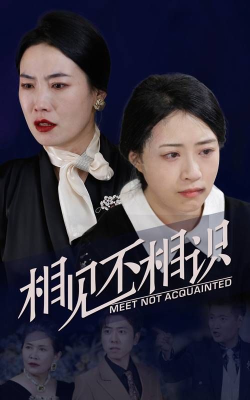 相见不相识 2024 短剧 海报