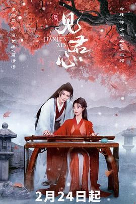 见君心 2025 电视剧 海报