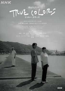 本色 2025 电视剧 海报