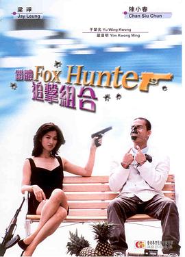 错体追击组合 1995 电影 海报