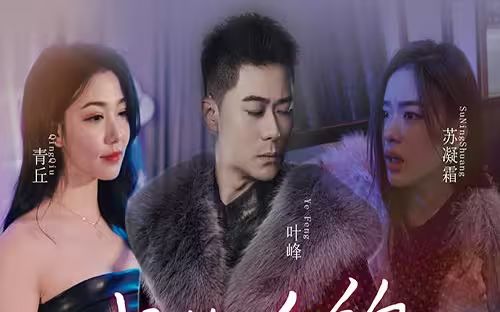 我的合约总裁未婚妻 2024 短剧 海报