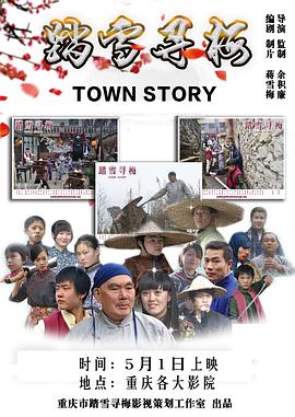 踏雪寻梅 2014 电影 海报
