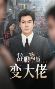 辞职离婚变大佬 2024 短剧 海报