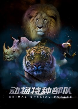 动物特种部队 第二季 2017 纪录片 海报