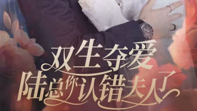 双生夺爱陆总你认错夫人了 2024 短剧 海报